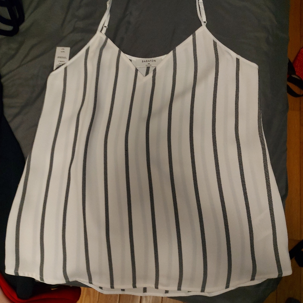 Babaton striped top